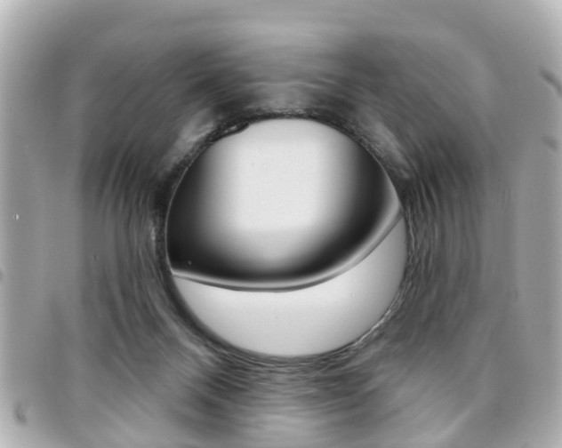 X0000094440120200711081034