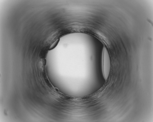 X0000094440121200711081034