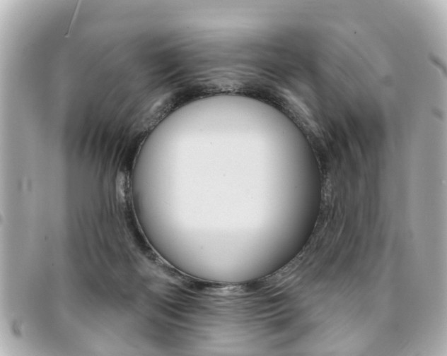 X0000094440122200711081034