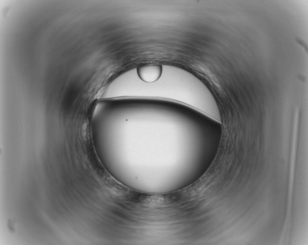 X0000094440123200711081034