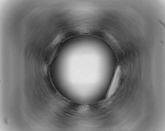 X0000094440124200711081034