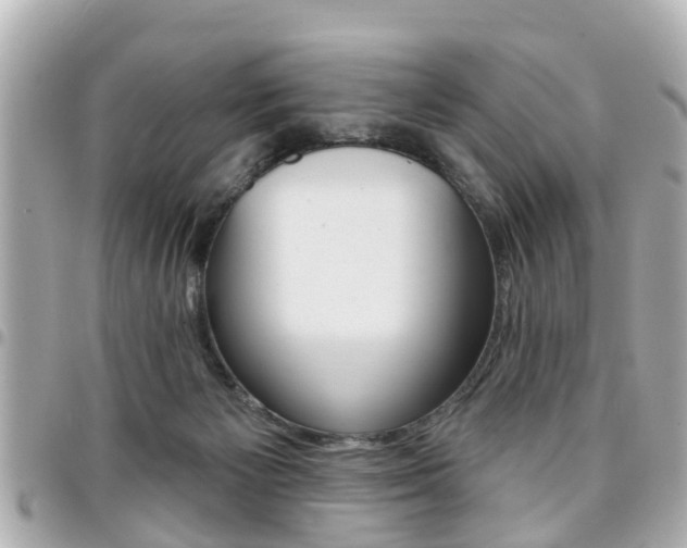X0000094440125200711081034