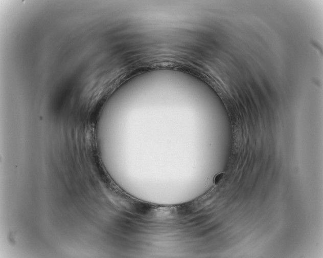 X0000094440126200711081034
