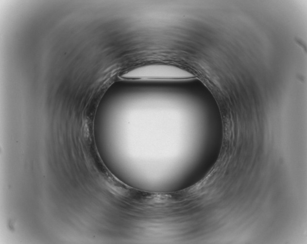 X0000094440128200711081034