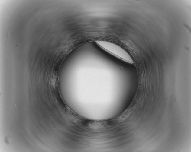 X0000094440129200711081034