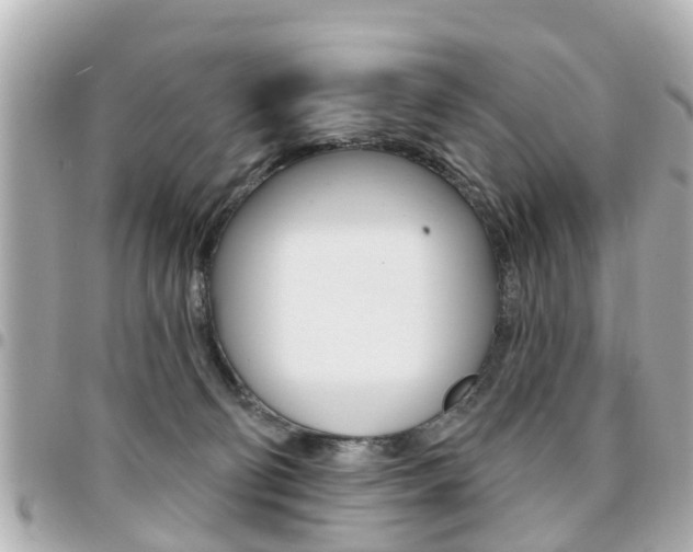 X0000094440130200711081034