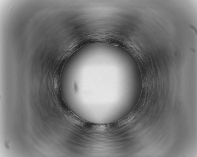 X0000094440131200711081033