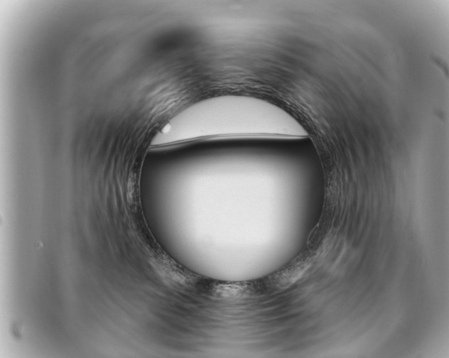 X0000094440139200711081033