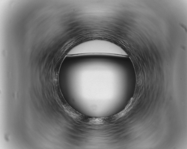 X0000094440140200711081033