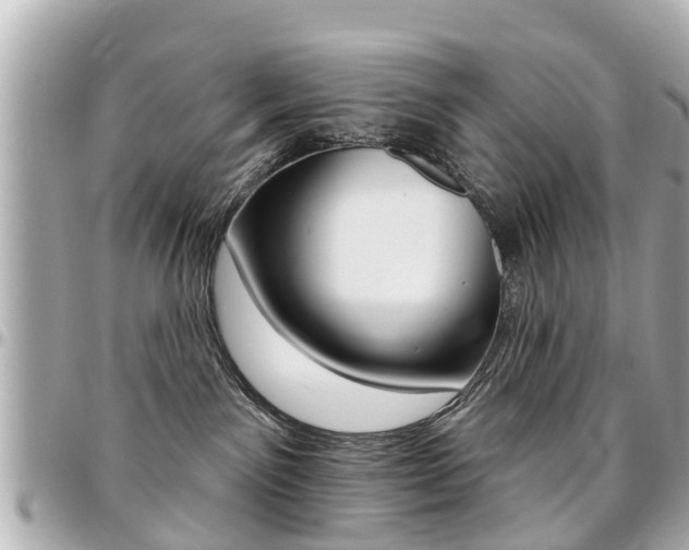 X0000094440141200711081033
