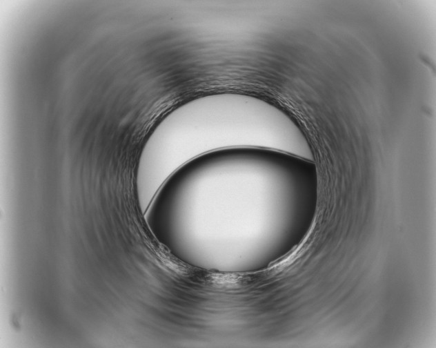 X0000094440144200711081033