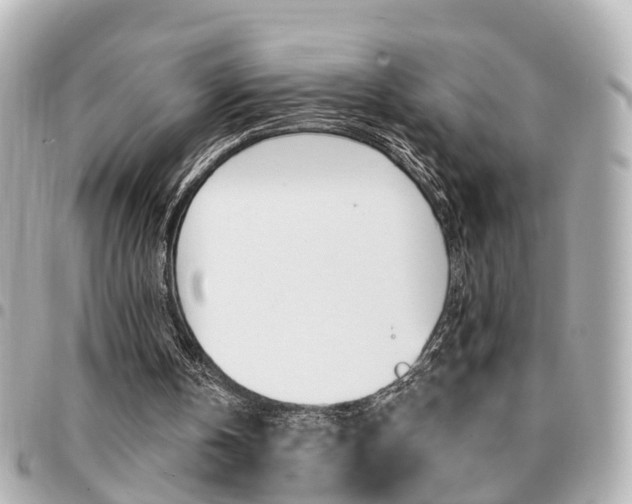 X0000094440146200711081033