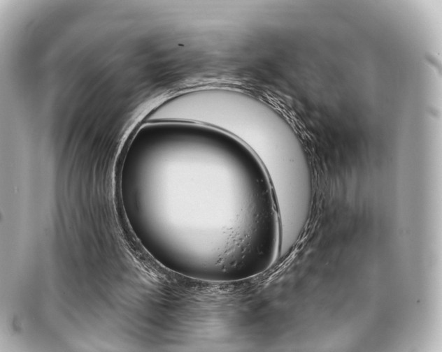 X0000094440148200711081033