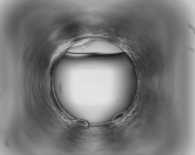 X0000094440149200711081033