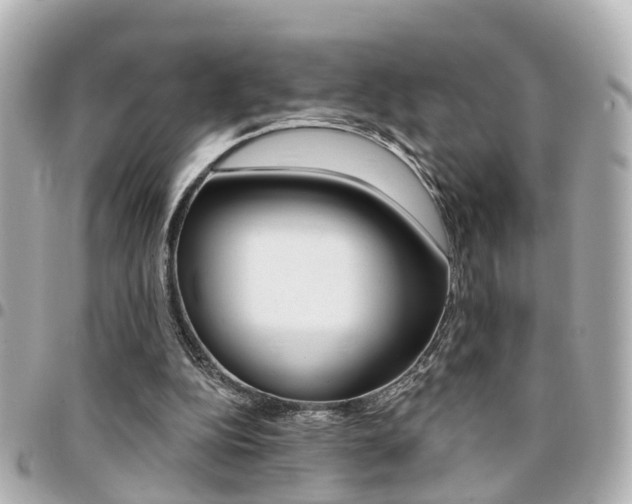 X0000094440152200711081033