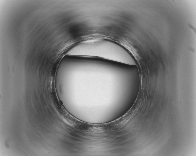 X0000094440157200711081033