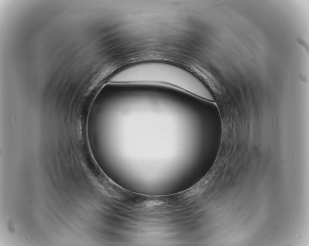 X0000094440158200711081033