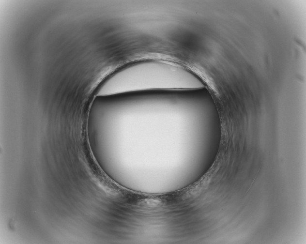 X0000094440159200711081033