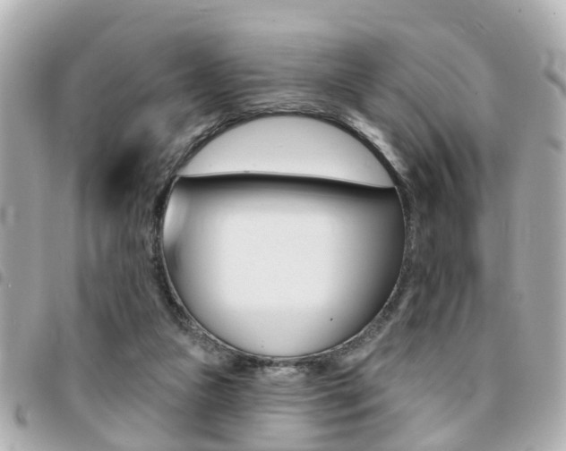 X0000094440161200711081033