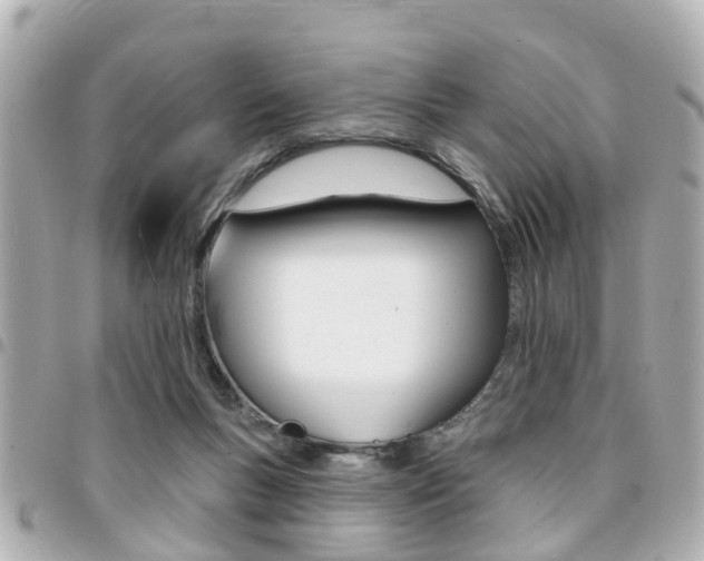 X0000094440167200711081033