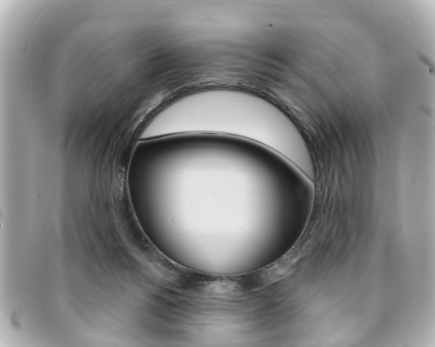 X0000094440168200711081033