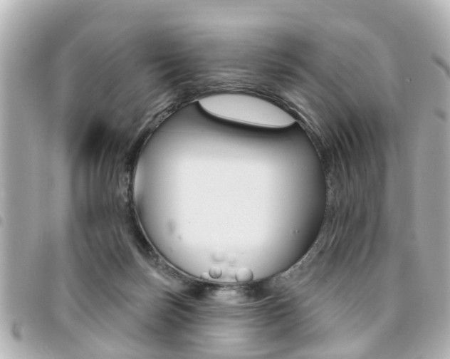 X0000094440171200711081033