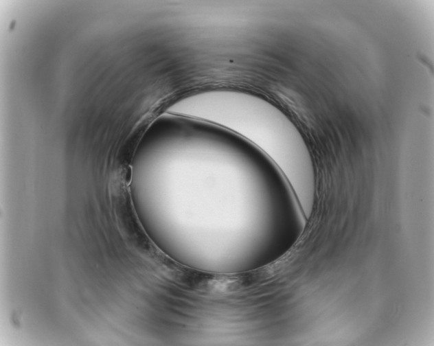 X0000094440172200711081033