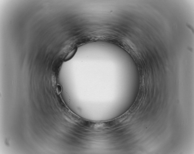X0000094440173200711081033