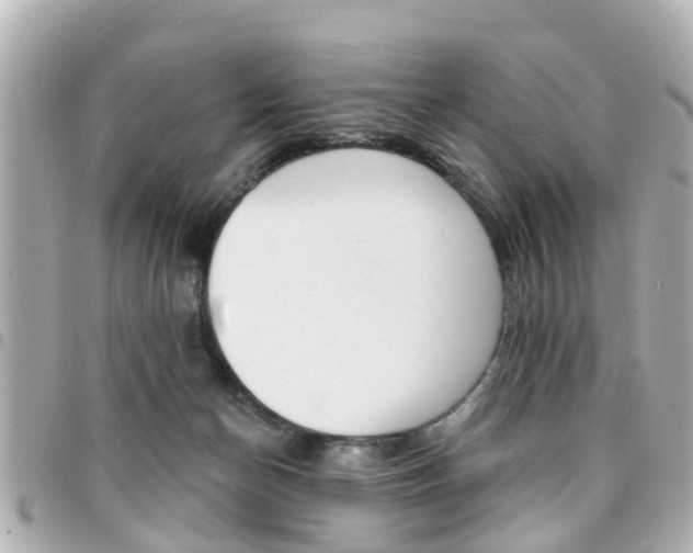 X0000094440174200711081033