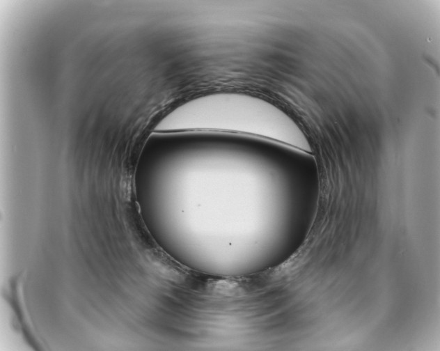 X0000094440180200711081033
