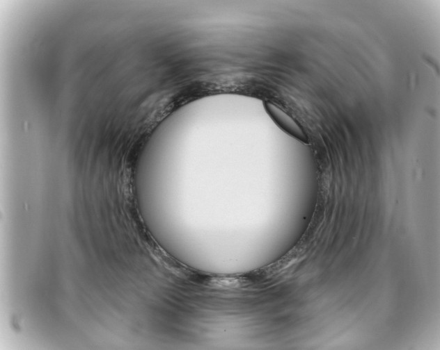 X0000094440181200711081033