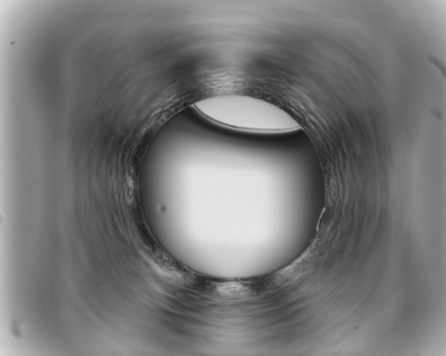 X0000094440183200711081033