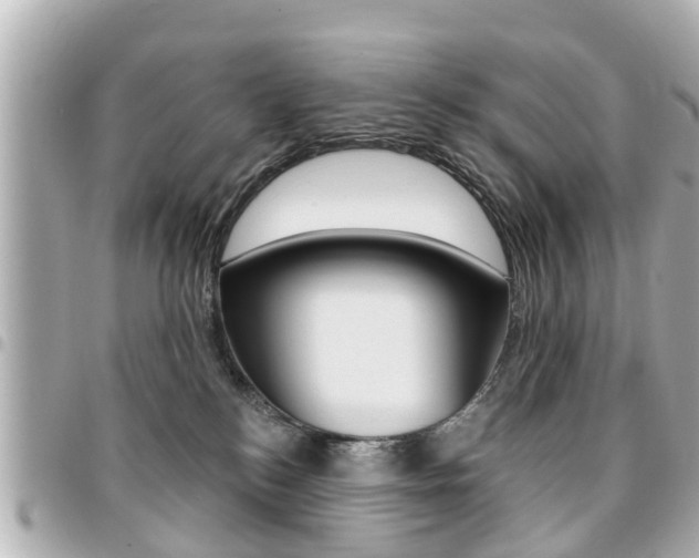 X0000094440184200711081033