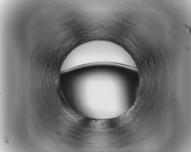 X0000094440186200711081033
