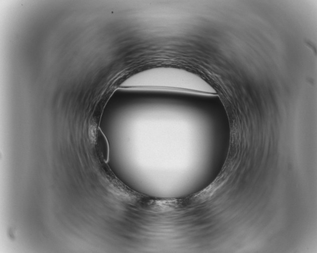 X0000094440188200711081033