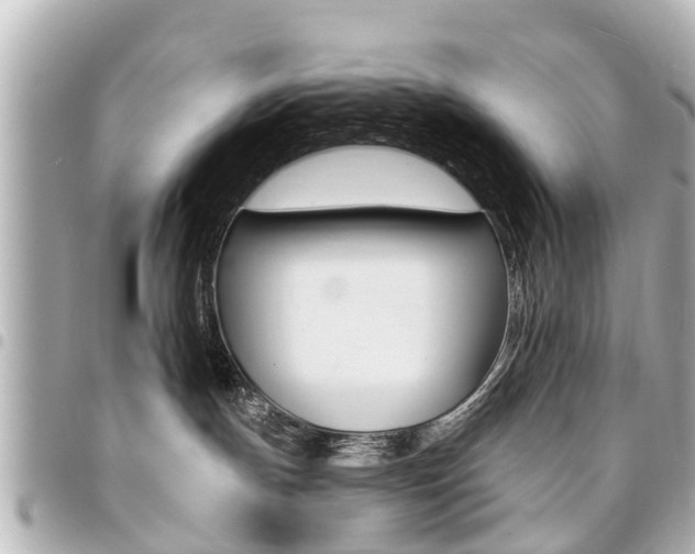 X0000094440191200711081033