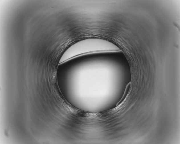 X0000094440192200711081033