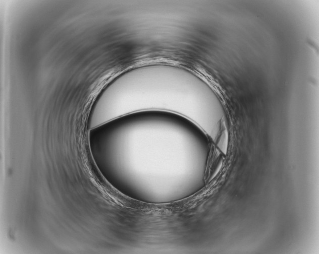 X0000094440193200711081033