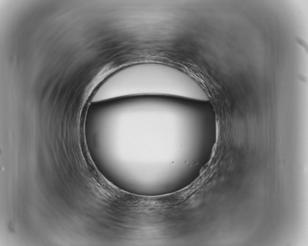 X0000094440195200711081033
