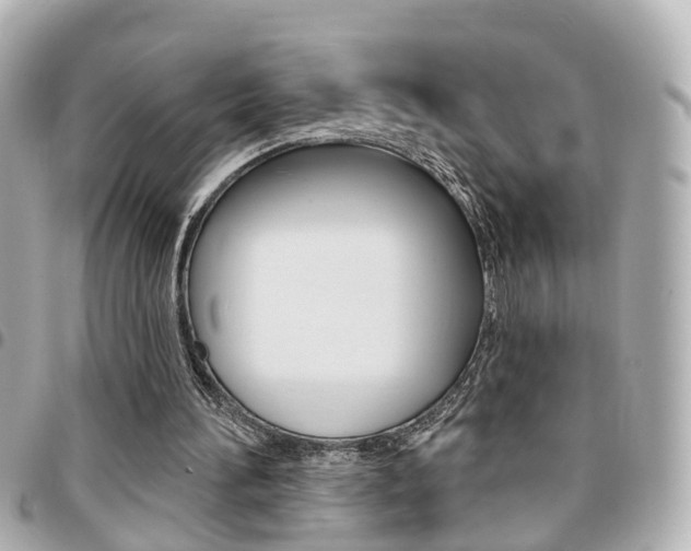 X0000094440196200711081033