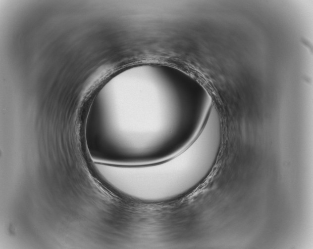 X0000094440197200711081033