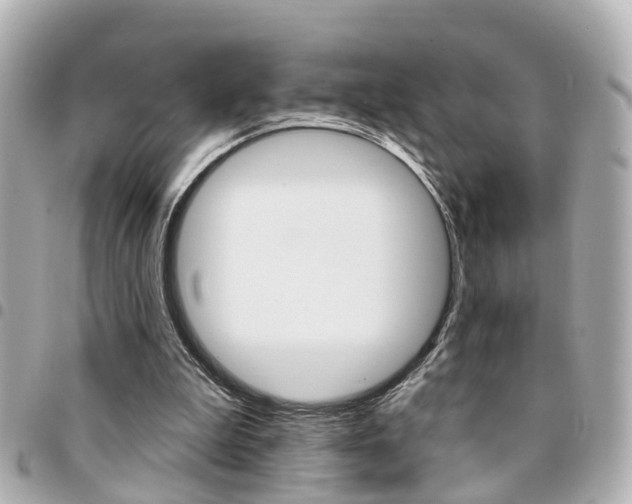 X0000094440199200711081033