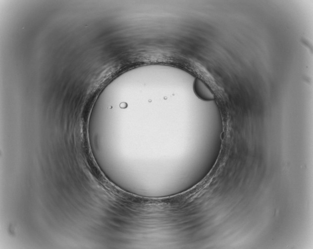 X0000094440202200711081033