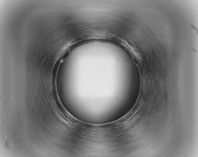 X0000094440203200711081033