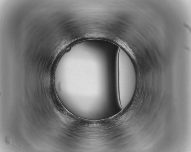 X0000094440204200711081032