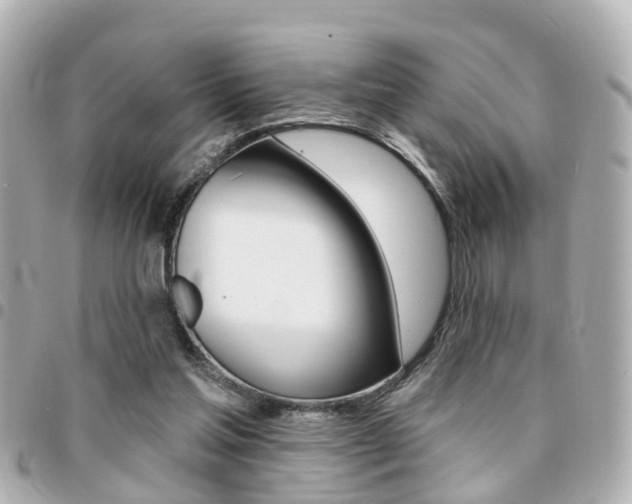 X0000094440205200711081032