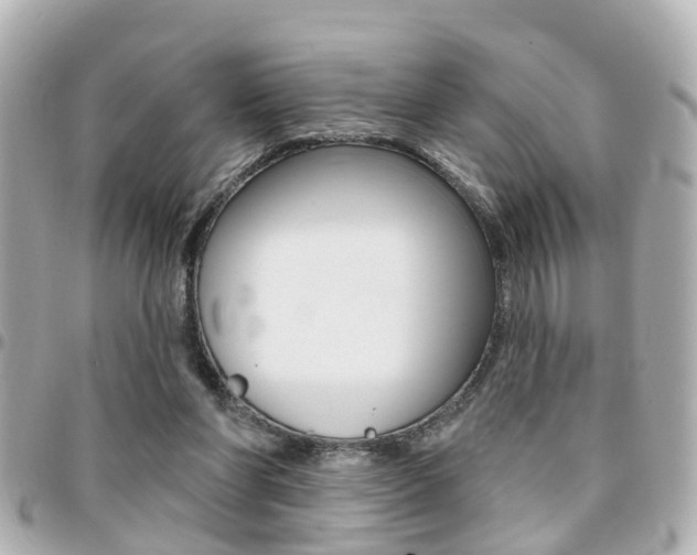 X0000094440206200711081032