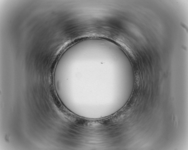 X0000094440208200711081032