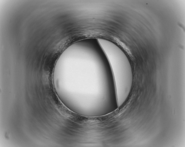 X0000094440209200711081032