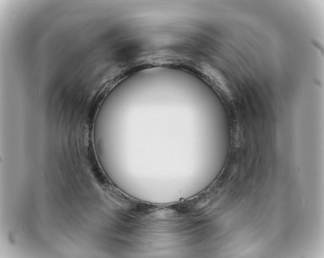 X0000094440210200711081032